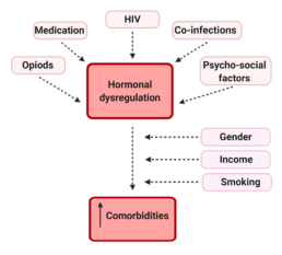 Figure 5. Pathways to increased comorbidities in women through hormone dysregulation and other factors.